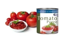 SPT Tomato Puree 825g