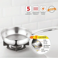 Borosil Stainless Steel Fry Pan 1.75lt / 22cm