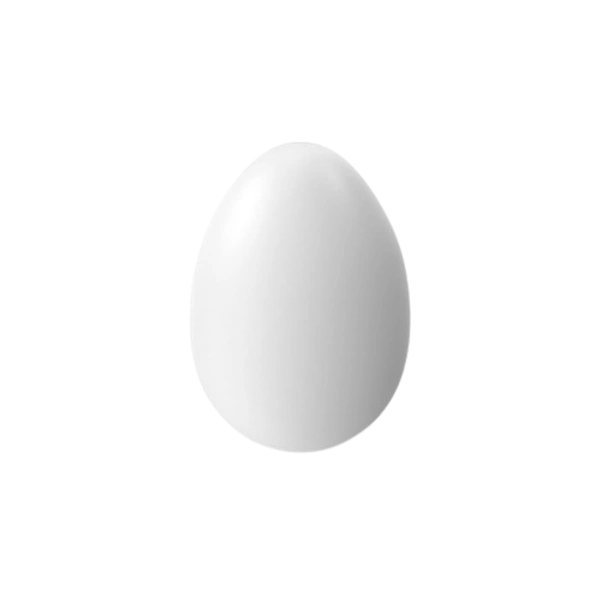 Egg 1pic
