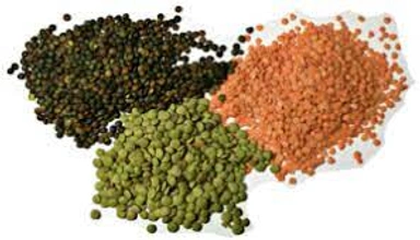 DAL