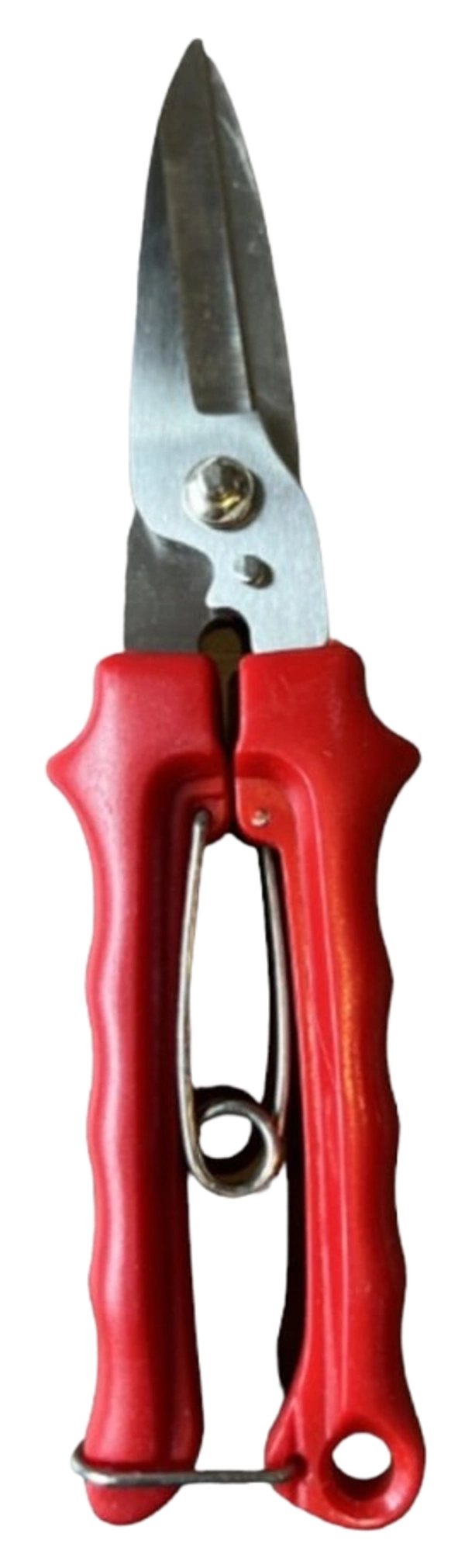Pruning Shear RT-PS-109
