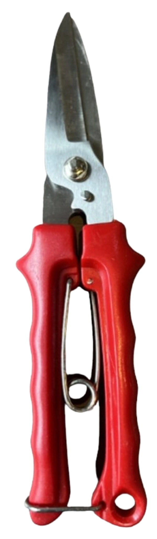 Pruning Shear RT-PS-109