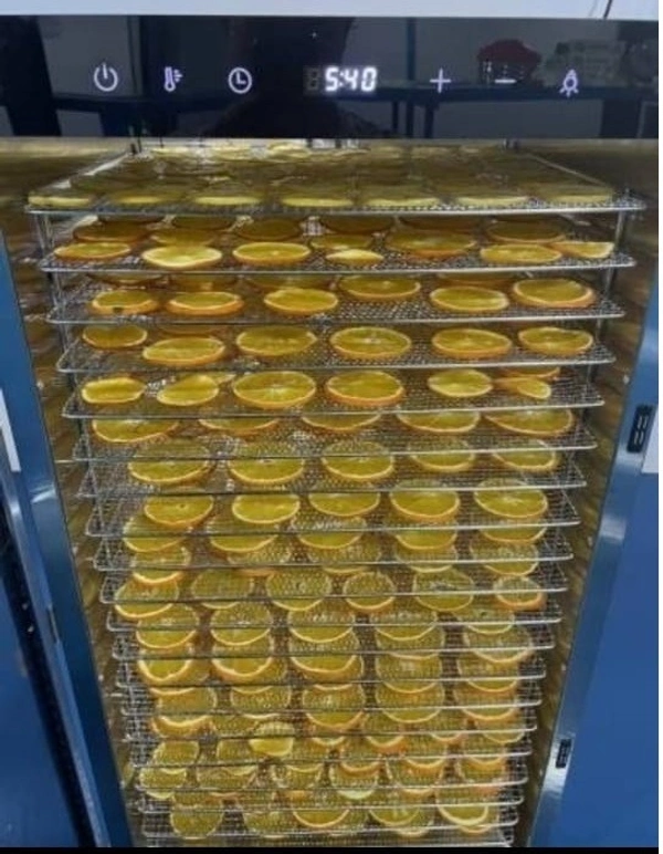 Rawat Electric Dehydrator – RT-EM-10D