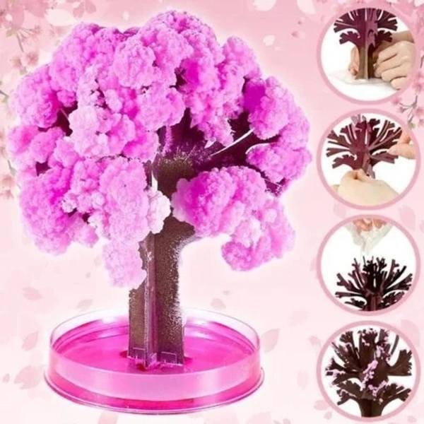 Christmas Random Design Magic Sakura