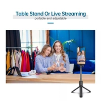 Selfie Stick R1S-L  with Detachable Bluetooth Wireless Remote Phone Holder Compatible with All Smartphones Bluetooth Selfie Stick