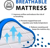 ISHA SOFA CENTRE  MATTRESS