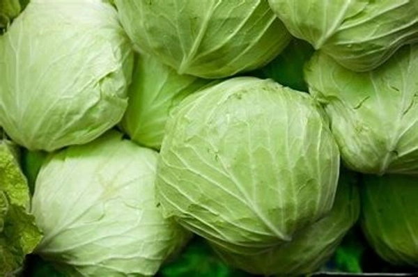 CABBAGE 1KG