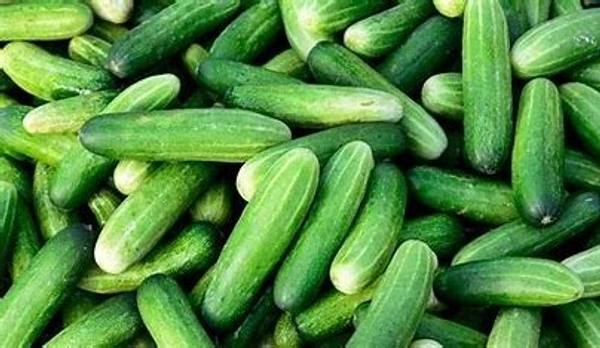CUCUMBER