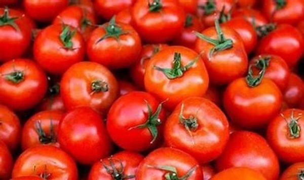 TOMATO