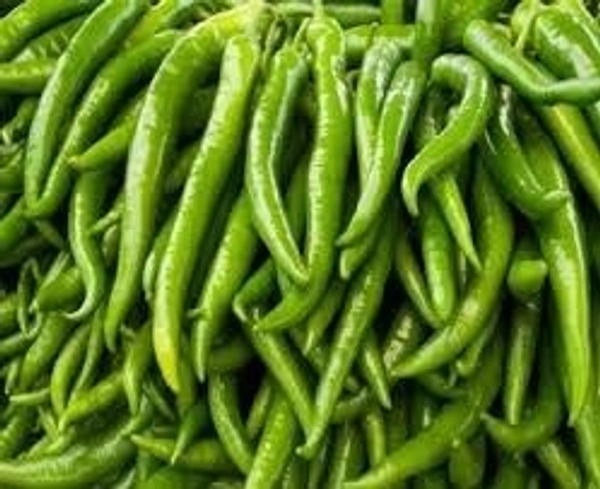 green chilli 500gm