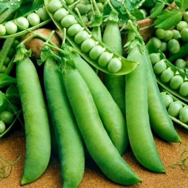 मटर फली 1kg  - 1kg