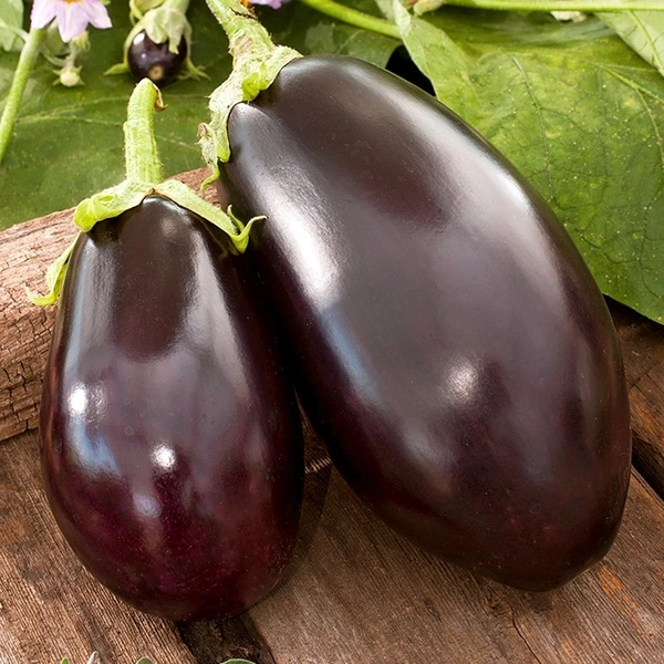 बैंगन 1kg  - 1kg