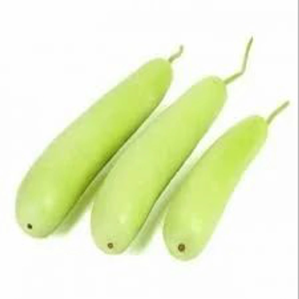 लौकी 500g - 500g