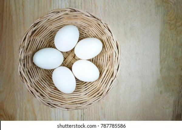 5 Eggs  - Simple