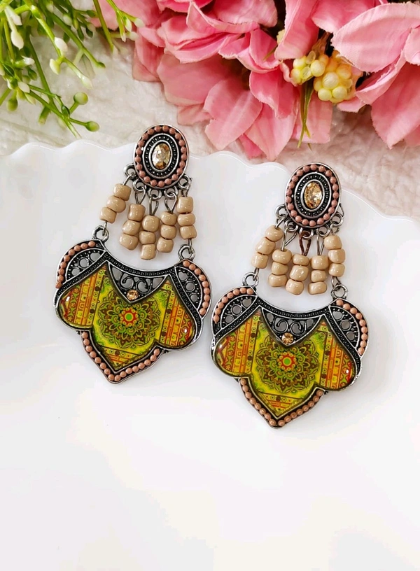 Quirky Ethnic Resin Danglers  - Multi