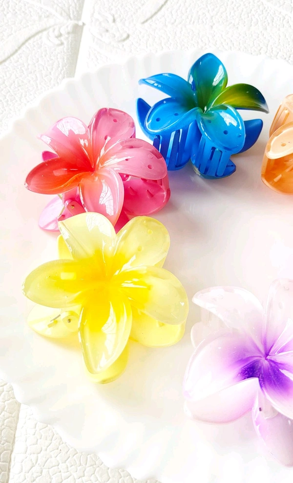 Beautiful Daisy Hair Claws  - White
