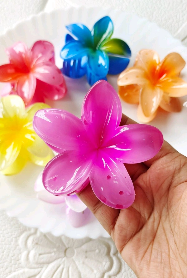 Beautiful Daisy Hair Claws  - White