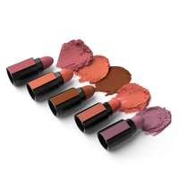 RENEE Fab 5 Nude 5 in 1 Lipstick 7.5gm - Five Shades in One -long Lasting, Matte Finish - Non Drying Formula With Intense Color Payoff - Compact & Easy to Use