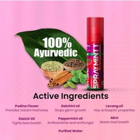 Spraymintt Mouth Freshener | 175+ sprays of instant long lasting with Zero Calories Freshness | Brezeberry flavour | 15g
