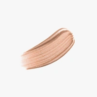 INSIGHT PROFESSIONAL LIQUID HIGHLIGHTER  - 04 FIREGLOW