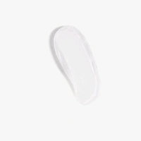 INSIGHT PRO FESSIONAL Classic Primer  - transparent