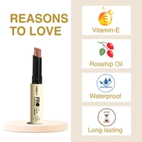 Insight Professional Air Matte Non-Transfer Lipstick - 11-Maleficent, INDIA