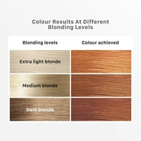STREAX Streax Hair Colour Highlight Kit | Blonde Hair Colour, Vibrant Blonde - Pack of 1 I Enriched with Walnut & Argan Oil I Hair Colour for Women | Rich, vibrant, Easy to use, DIY Application