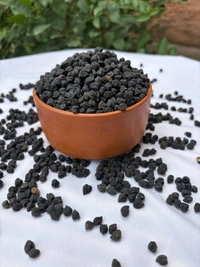Black Chana - 1 KG