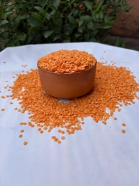 Masoor Dal - 1 KG