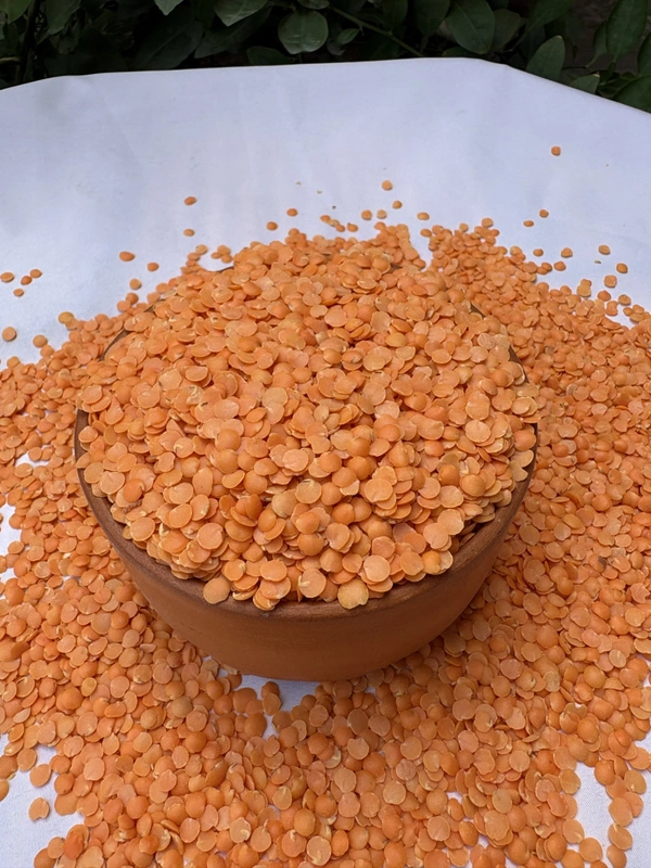Masoor Dal - 1 KG