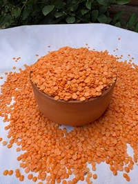 Masoor Dal - 1 KG