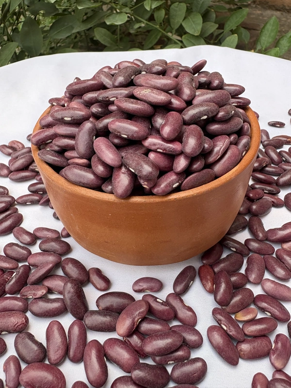 Red Rajma - 