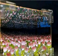 IKIME Tulip Cube Infinity Mirror Lamp