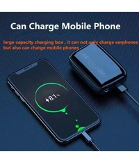  PowerBank Earbuds Bluetooth True Wireless (TWS) In Ear 35 Hours Playback Passive noise cancellation IPX4 - Black