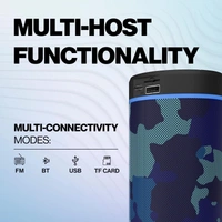125 10 W Bluetooth Speaker Bluetooth v5.0 with USB,Aux,SD card Slot Playback Time 6 hrs Assorted - Black