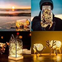 5 Meter 50 LED 3AA Battery Powered Copper String Fairy Lights Waterproof- Warm White - Yellow
