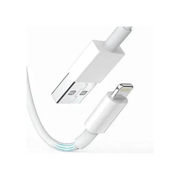 USB Fast Charging Cable & Data Sync Compatible with iPhone X/XR/XS MAX/XS/ 11/11 PRO/ 11 PRO MAX/iPads/iPhone 12/Mini/Pro/Pro Max (1 Meter, White) - White