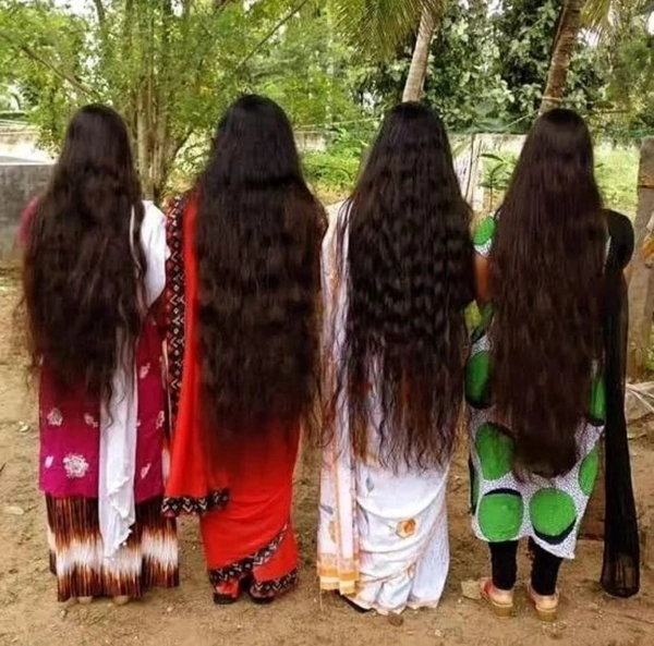 Adivasi Shampoo – Herbal Shampoo for Hairfall & Hair Growth in India | Pack Of 2