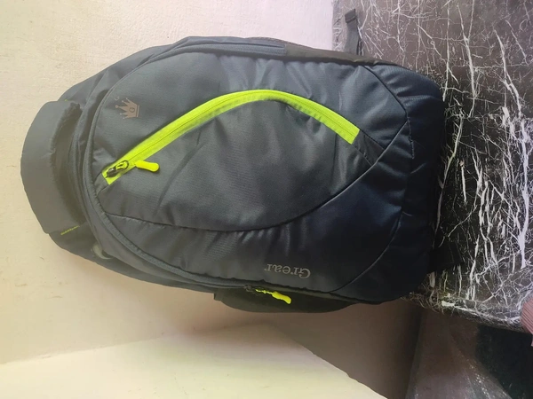 Grear Laptop Backpack, Water Resistant College Computer Bag For School, Fits 15.6 Inch Notebook 31 Ltrs