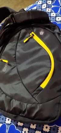 Grear Laptop Backpack, Water Resistant College Computer Bag For School, Fits 15.6 Inch Notebook 31 Ltrs