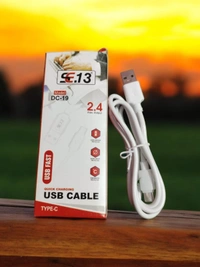 SE13 DC-19 TYPE C CABLE 2.4A - White, TYPE C