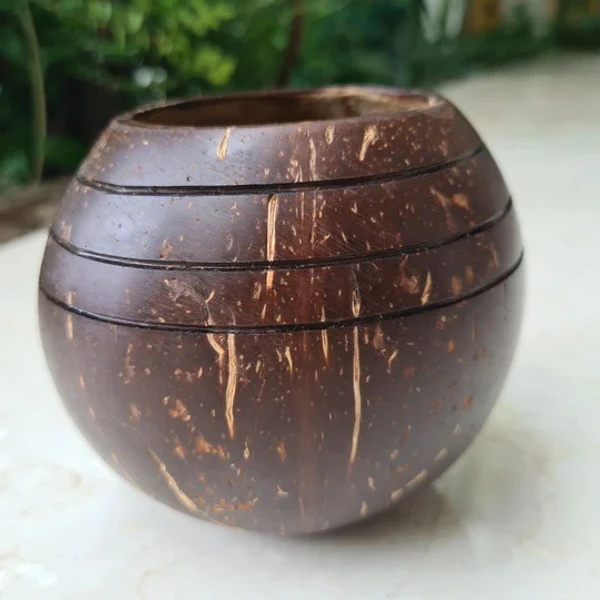 PJH Planter - 03 Triple line Coconut Planter | Indoor Plants, Succulents (1 Pot) - Coconut Shell