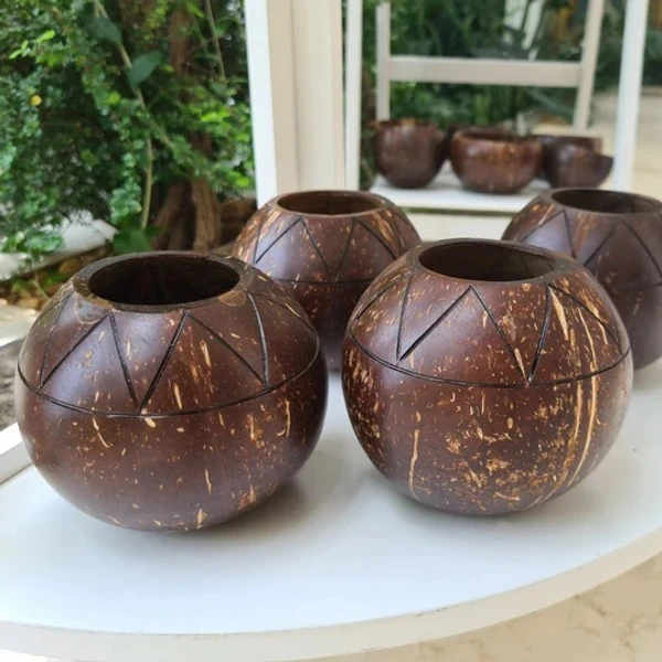 PJH Planter 02 - Zig-Zag Coconut Planter | Indoor Plants, Succulents (1 Pot) - Coconut Shell