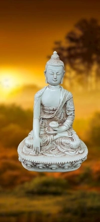 PJH Medium Size Polyresin Meditating Buddha Statue for Home Decor, Yoga Room, and Spiritual Ambience. - L 3.5 x B 2 x H 5.5 Inch., Polyresin, 278 Gms., Box