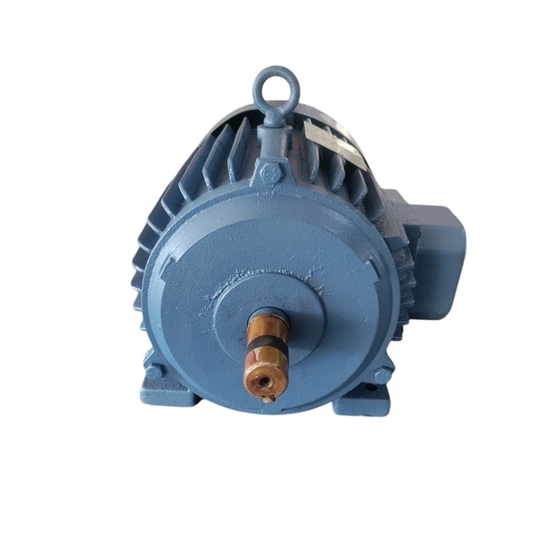 Induction Motor 5 HP 3 Phase