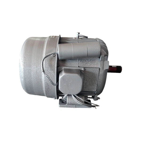 Induction Motor 3HP Chaff Cutter