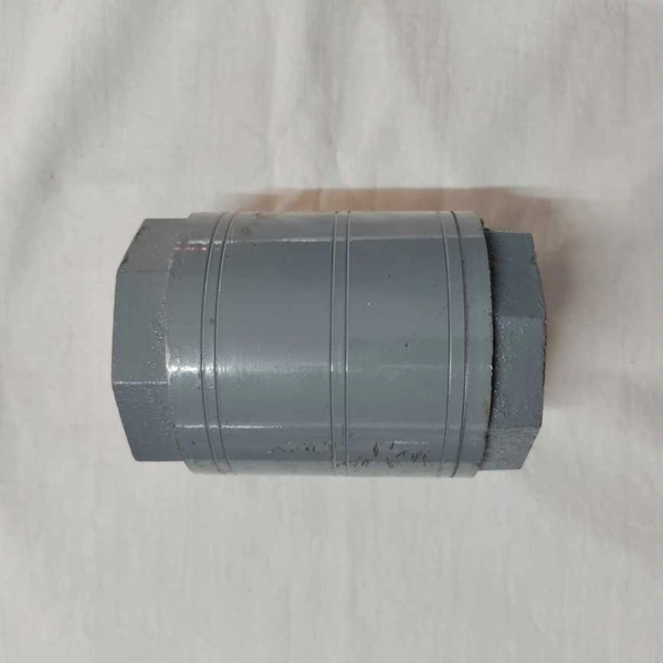 Check Valve CI 2"
