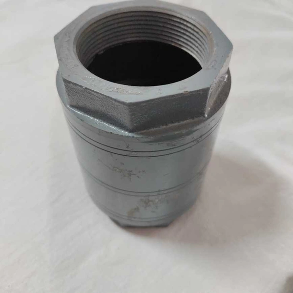 Check Valve CI 2"