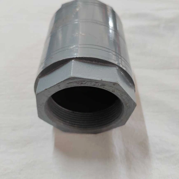 Check Valve CI 2"