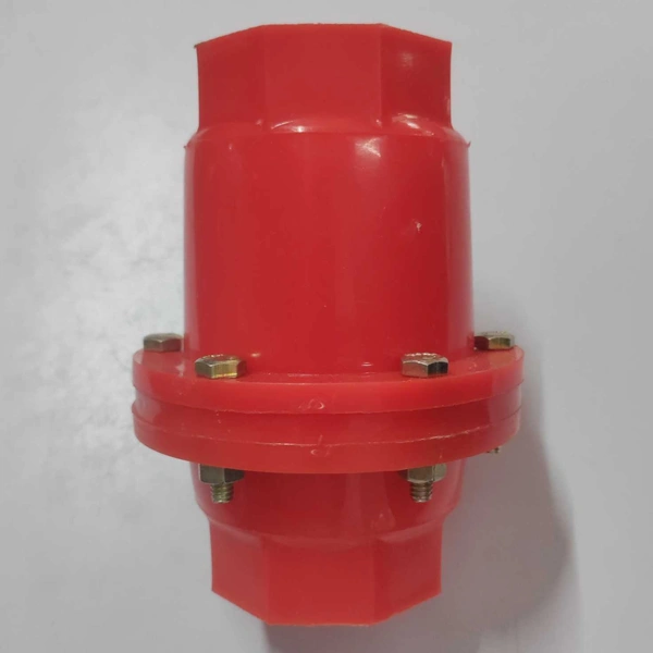 Check Valve PP 2"
